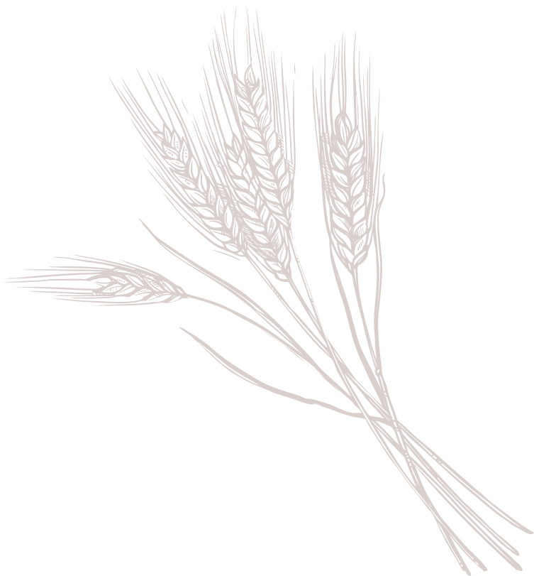 Precision Agro Tech