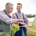 Development of professional skills