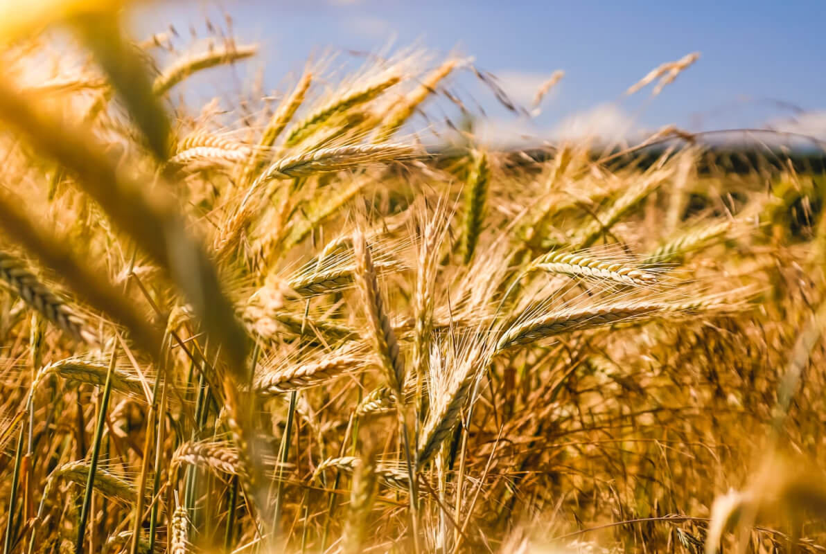 PrecisionAgroTech запускає офіційні сторінки у соціальних мережах