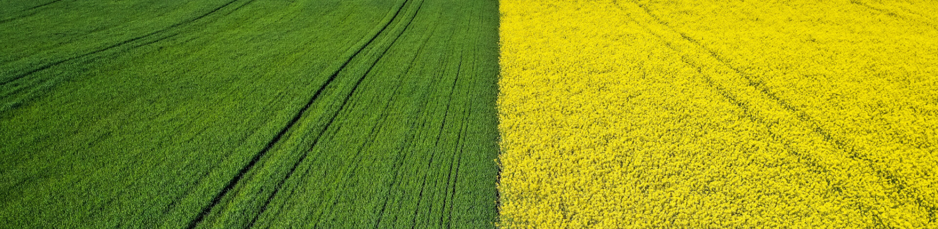 Precision Agro Tech