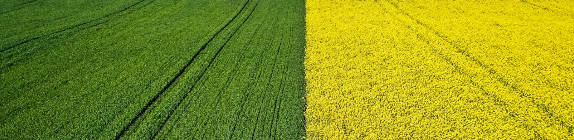 Precision Agro Tech
