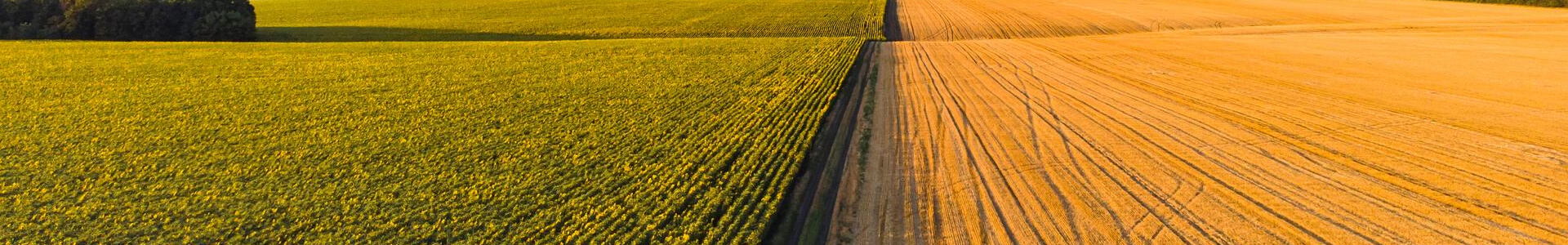 Precision Agro Tech