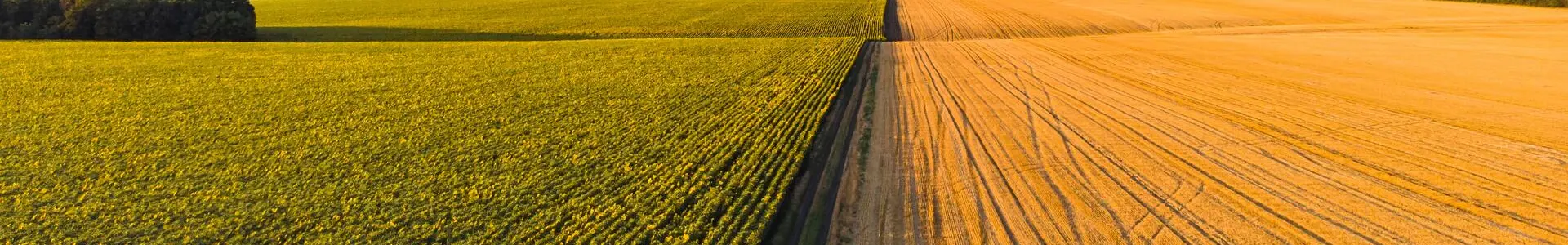 Precision Agro Tech